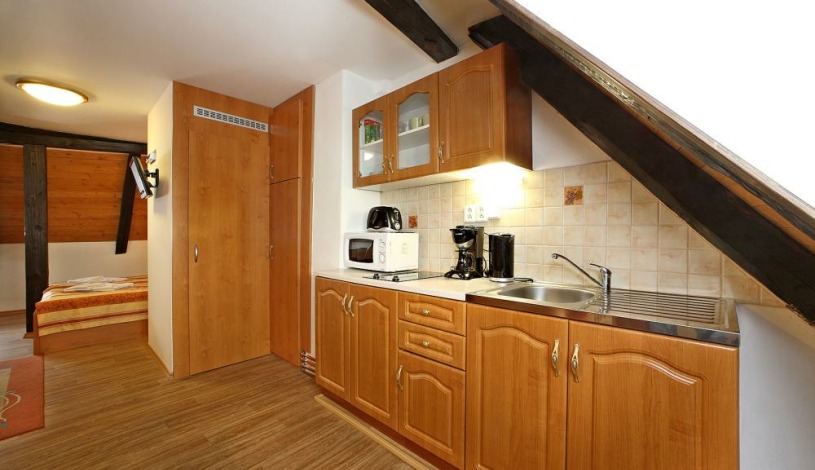 Pension Galko Český Krumlov - Dvoupodlažní apt Široká